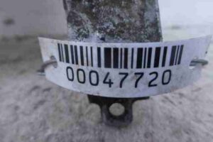 Изображение товара 47720 - 00047720 poddon 2