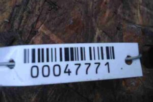 Изображение товара 47771 - 00047771 kardan zadnij Renault Sandero 3