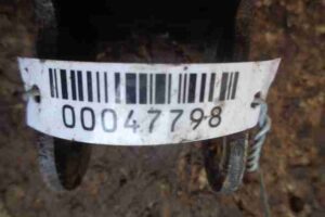 Изображение товара 47798 - 00047798 amortizator zadnij pravyj 1