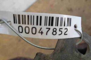 Изображение товара 47852 - 00047852 bamper zadnij Peugeot 306 3