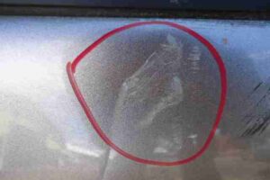 Изображение товара 48167 - 00048167 dver zadnyaya pravaya 1