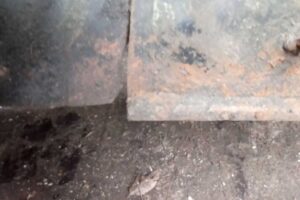 Изображение товара 48309 - 00048309 balka perednyaya Toyota Celica 3