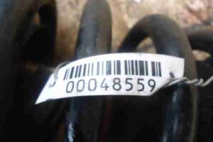 Изображение товара 48559 - 00048559 pruzhina perednyaya 1