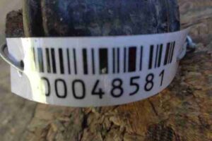 Изображение товара 48581 - 00048581 amortizator zadnij levyj 1
