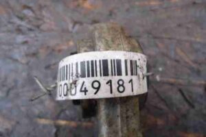 Изображение товара 49181 - 00049181 rychag zadnij pravyj verkhnij Ford Scorpio 1