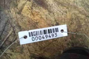 Изображение товара 49493 - 00049493 amortizator zadnij pravyj 3