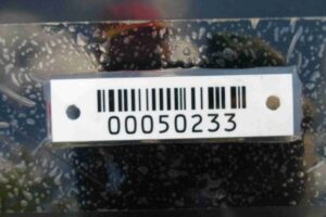 Изображение товара 50233 - 00050233 dver zadnyaya levaya BMW 7 Series 2