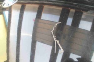 Изображение товара 51461 - 00051461 kapot 2