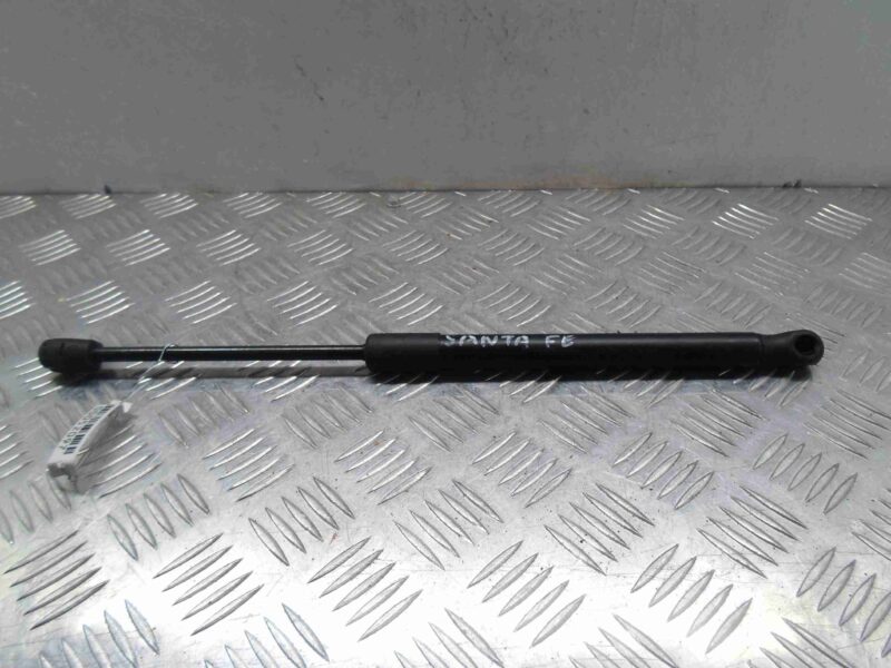 Изображение товара 52097 - 00052097 amortizator kapota Pontiac TransSport