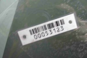 Изображение товара 53123 - 00053123 steklo dveri perednej pravoj Ford Escort 2