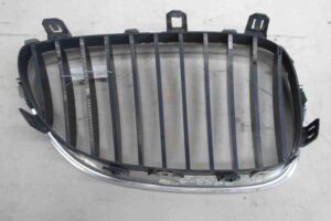 Изображение товара 54114 - 00054114 reshetka radiatora 1