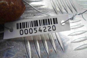 Изображение товара 54220 - 00054220 zamok remnya bezopasnosti BMW 4 Series 1