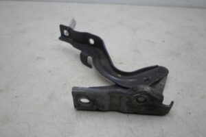 Изображение товара 55807 - 00055807 petlya kapota pravaya 