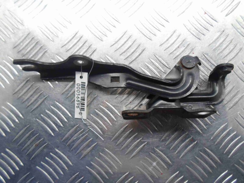 Изображение товара 56896 - 00056896 petlya kapota pravaya Citroen Berlingo