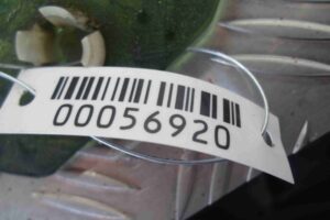 Изображение товара 56920 - 00056920 steklo dveri zadnej pravoj 3