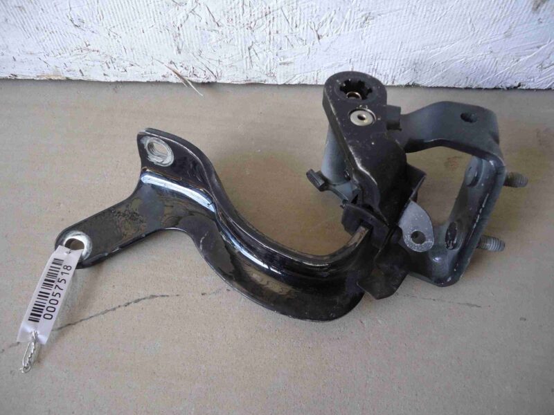 Изображение товара 57518 - 00057518 petlya kryshki bagazhnika