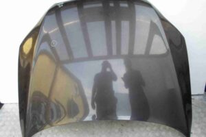 Изображение товара 57741 - 00057741 kapot 1