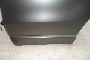 Изображение товара 57898 - 00057898 dver zadnyaya levaya Renault Sandero 1