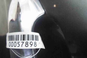 Изображение товара 57898 - 00057898 dver zadnyaya levaya Renault Sandero 3