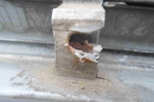 Изображение товара 61990 - 00061990 reshetka radiatora Renault Scenic 2