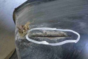 Изображение товара 62787 - 00062787 krylo pravoe 3