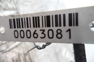 Изображение товара 63081 - 00063081 nasos gur Toyota Hiace 1