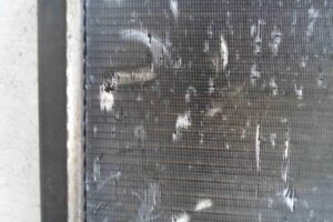 Изображение товара 63677 - 00063677 radiator dvs Ford Edge 2