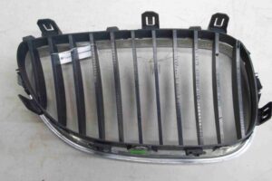 Изображение товара 64001 - 00064001 reshetka radiatora 1