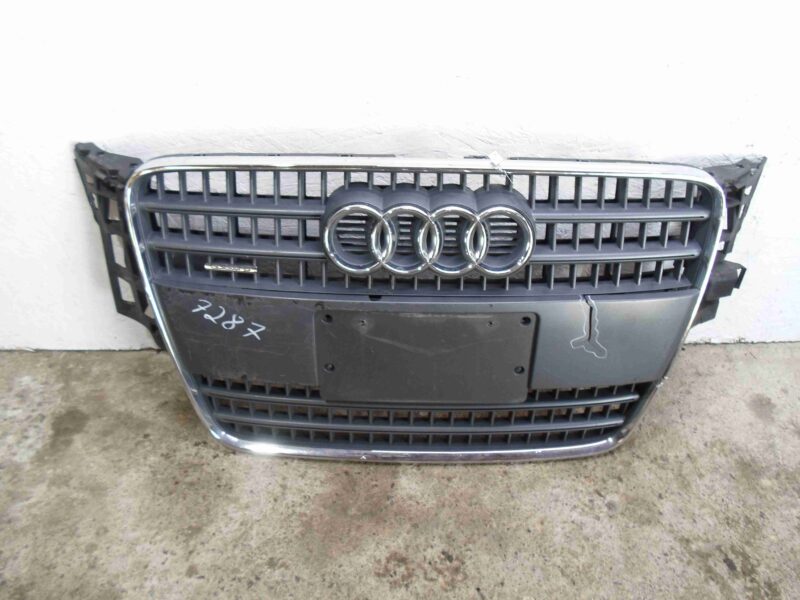 Изображение товара 64763 - 00064763 reshetka radiatora