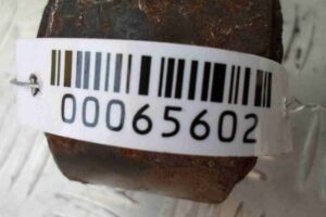 Изображение товара 65602 - 00065602 rychag zadnij levyj 2