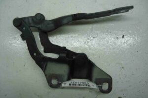 Изображение товара 65935 - 00065935 petlya kapota pravaya 