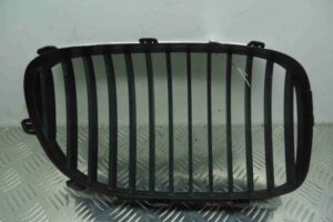 Изображение товара 66303 - 00066303 reshetka radiatora 