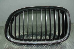 Изображение товара 66303 - 00066303 reshetka radiatora 2