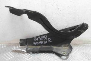 Изображение товара 66474 - 00066474 petlya kapota pravaya 