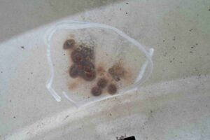 Изображение товара 66759 - 00066759 krylo pravoe Alfa Romeo 146 1