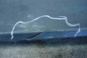 Изображение товара 67043 - 00067043 nakladka dveri (molding) Toyota Celica 3