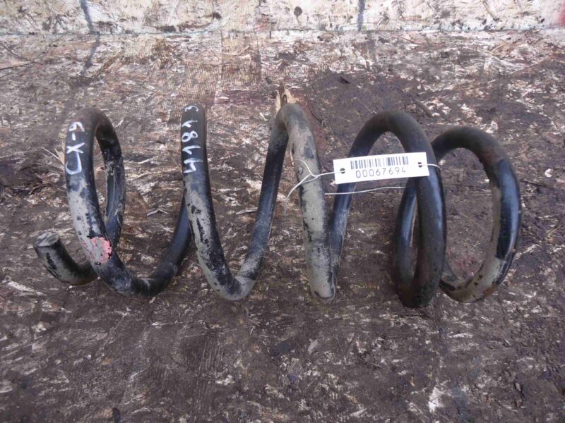 Изображение товара 67694 - 00067694 pruzhina zadnyaya Citroen C5