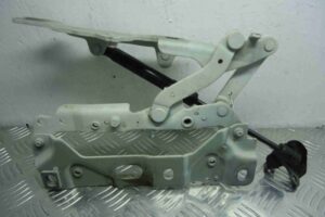 Изображение товара 67817 - 00067817 petlya kapota pravaya 