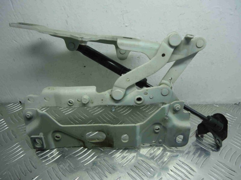 Изображение товара 67817 - 00067817 petlya kapota pravaya