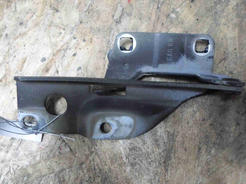 Изображение товара 68622 - 00068622 petlya kapota pravaya