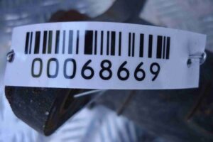 Изображение товара 68669 - 00068669 balka perednyaya 3