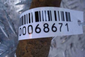 Изображение товара 68671 - 00068671 poluos zadnyaya pravaya Lexus LS 3