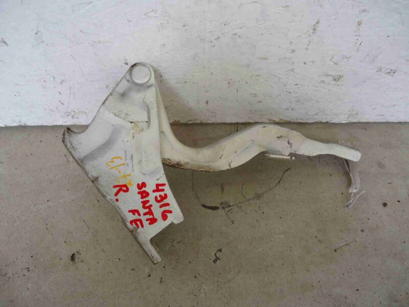 Изображение товара 69033 - 00069033 petlya kapota pravaya