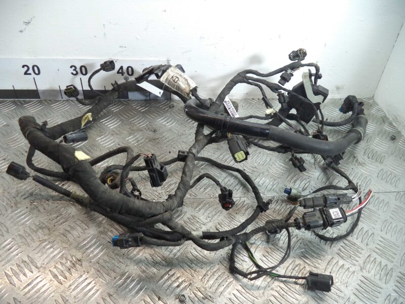 Изображение товара 69338 - 00069338 provodka dvigatelya Chevrolet Aveo