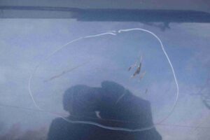 Изображение товара 69557 - 00069557 dver zadnyaya pravaya 1