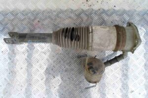 Изображение товара 69567 - 00069567 amortizator zadnij levyj 1