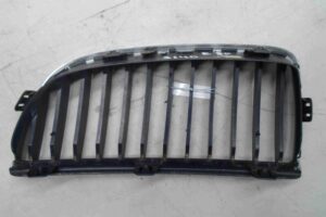 Изображение товара 69646 - 00069646 reshetka radiatora 1