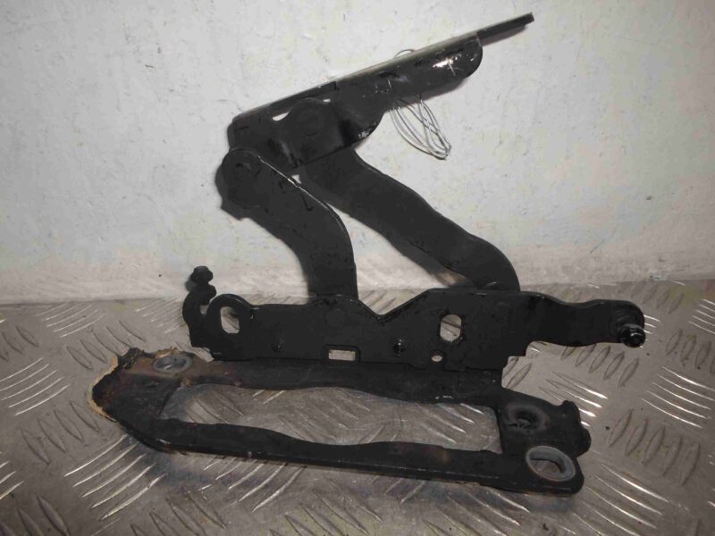 Изображение товара 69765 - 00069765 petlya kapota pravaya