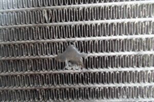 Изображение товара 69949 - 00069949 radiator dvs 1