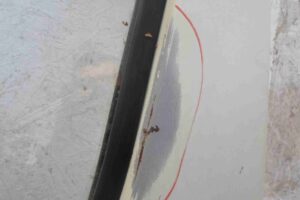 Изображение товара 69963 - 00069963 dver perednyaya levaya Fiat Brava 3